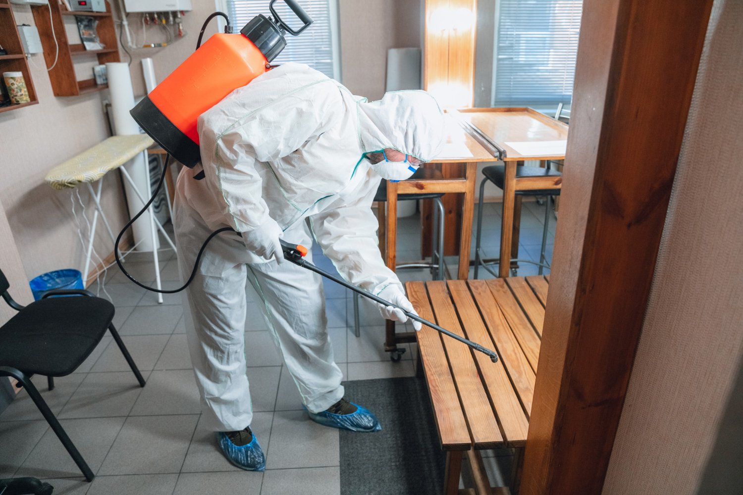 Spotless Spaces and Pest-Free Places: The Dual Power of Exterminator Cleaning