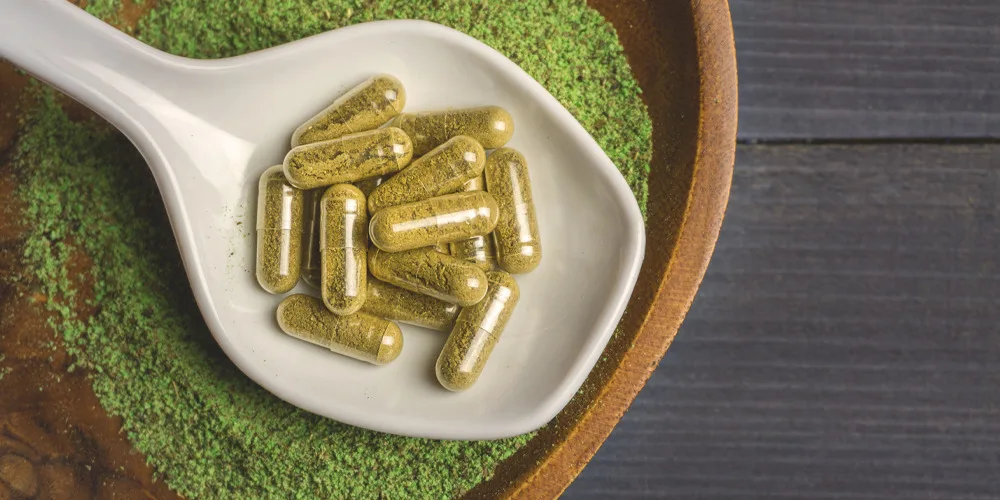 Embark on a Holistic Healing Odyssey with Kratom: Vendors for Your Journey
