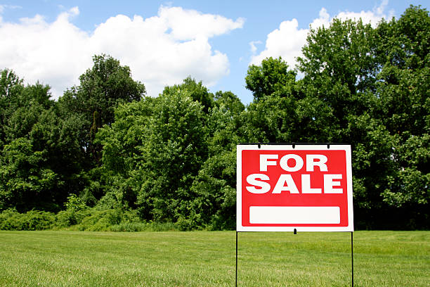 Buying Land for Sale